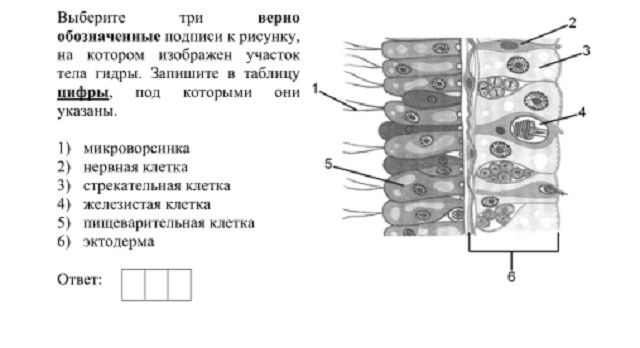 Как регистрироваться и заходить на кракен даркнет